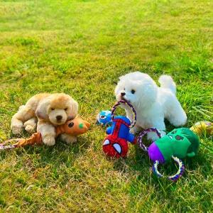 마블 펫토이 터그 인형 3종강아지 세트 장난감 놀이감