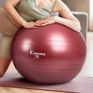 아이워너 안티버스트 짐볼 와인 75cm 1P 근력 스트레칭 홈트-WFIZPCP