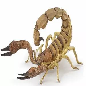 [에이치플러스몰]스콜피온 모형 피규어 실물 미니피규어 조형물 장식용 소품