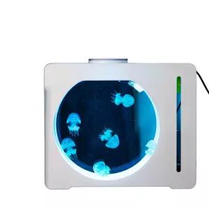 해파리 수조 물멍 해파리키우기 사이즈 열대어 미니 거실 관상어