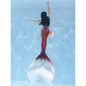 인어꼬리 수영복 코스튬 인어공주 촬영 코스프레 슈트 모델 공연의상 아쿠아리움 수중공연