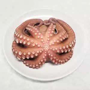 참맛나는 국내산 제수용 활 돌문어 1kg (1미)