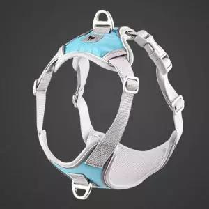 하네스 가슴줄 강아지 앞섬방지 엑스 야광 야간