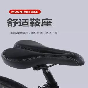 성인 밸런스바이크 20인치 자전거 경량 균형훈련