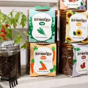 2개 반려식물키우기 새싹재배키트 미니화분 11종식물 고수 바질