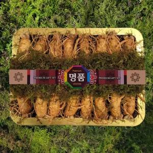 금산인삼 수삼 선물용 (바구니9호)원수삼 왕대 2.25Kg  15~18뿌리