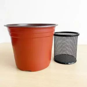 이색포트 모종화분 160호 (지름 15.6cm)