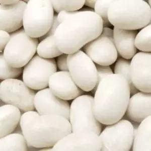 곡물종자 곡물품종 600g 흰색강낭콩종자 600g채소씨앗 (WFKBY5A)