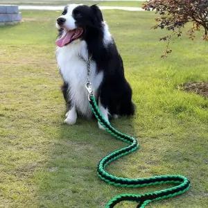 [콩심팥심]로프 대형견 목줄 리드줄125m 개목줄 중형견목줄 산책끈 강아지목줄