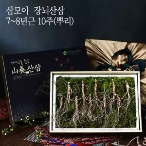 [삼모아] 산양산삼 7-8년근 10뿌리(건강사랑세트)
