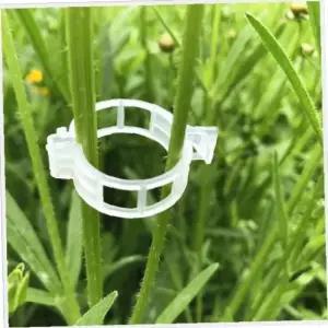 식물 텃밭 가지 오이 토마토 고추 지지대 식물클립 10P