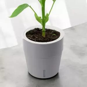 자동급수 화분 5p세트 그레이 실내 정원용 가정용 식물 (WFKJJX8)