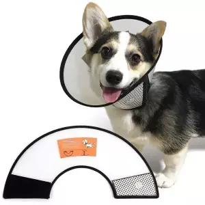 [콩심팥심]애견목카라 강아지 목보호대 4호 넥카라 깔대기 핥기방지 애견