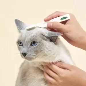 프로젝트21 고양이 강아지 브러쉬 눈곱 얼굴빗 세이프티 페이셜