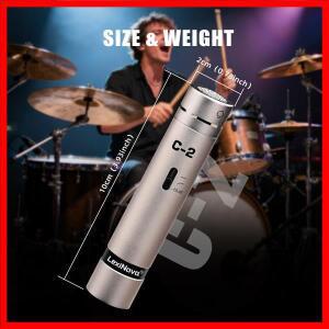 LexiNova 2-C 소형 다이어프램 펜슬 콘덴서 마이크 전문 녹음 무대 공연용 스위치 포함 악기 마이크