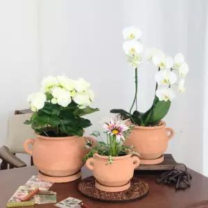 레드테라코타 손잡이 단지 토분실내화분 식물 인테리어 소품 정원 꾸미기 장식 디자인