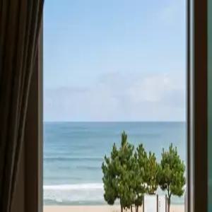 [강원 펜션] 양양 해뜨는창문 애견동반 오션뷰 펜션 (양양(서피비치,낙산))