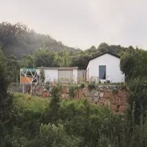 [경북 펜션] 경산 토끼집스테이 (경산(영남대,대구대,갓바위,하양,진량,자인))