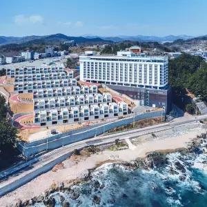 파나크 오퍼레이티드 바이 소노