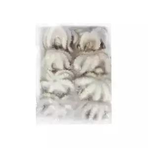 베트남 냉동 쭈꾸미 200g 20/30 , 30/50 , 50/80 , 80/100 골라담기