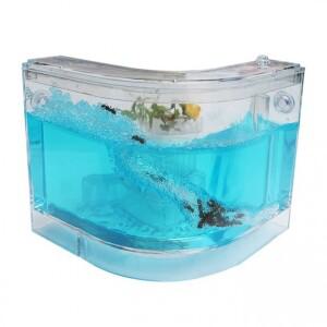 에스씨컴퍼니  재미있는 개미관찰 ㄱ자형 개미집 곤충 키우기 관찰용 하우스 세트