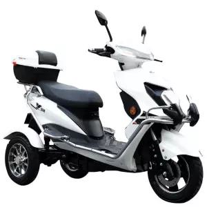 세발 전동 스쿠터 성인 라이딩 출퇴근 마실용 운반차