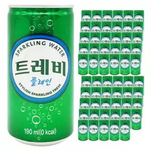 롯데 트레비 플레인 190ml x 60캔 (30캔 2박스)