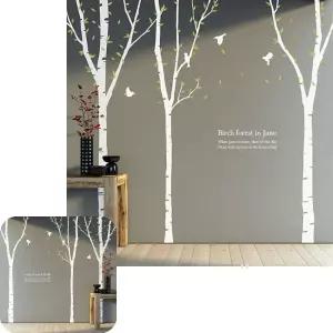 제이커 자연 세그루 자작나무 WBWG150 시트지 셀프인테리어 그래픽스티커