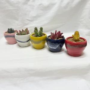 미니다육 선인장 랜덤 5종 파스텔 도자기 화분 세트