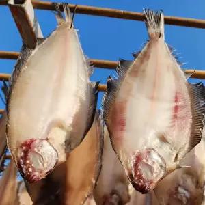 국내산 반건조 손질 기름 가자미 물가자미 미주구리