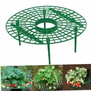 모종 작물받침대 방지 키우기 수박 받침대 딸기