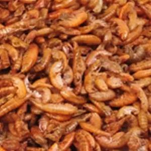 (30g) 거북이밥 건조새우 거북이사료 사료먹이 거북이 거북이밥 거북이사료