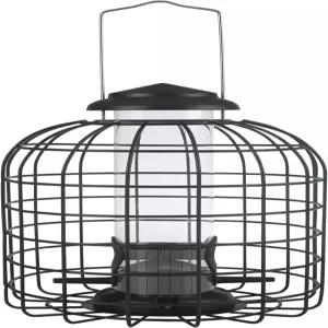 다람쥐 방지 새 모이통 작은 매달린 우리 핀치 치카디 참새와 렌 야외에 이상적 비둘기 블루 제이 사슴