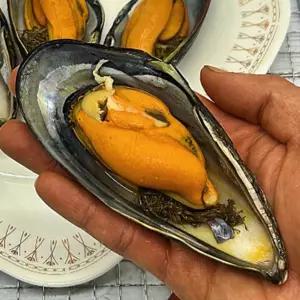 자연산 홍합 담치 섭 대왕 1kg