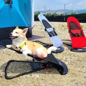 반려견전용 흔들의자 해먹 U128297 고양이하우스