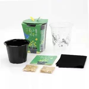 두번 재배 콩나물키우기 관찰일지 세트