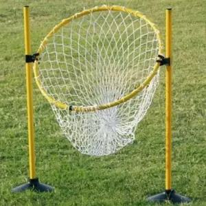 플라잉 원반 스포츠 골망 세트 운동회 야외 던지기 게임
