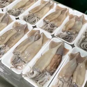 원양산 손질 통오징어 2미 500g (진공포장)