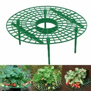 [골드스마일]WL 모종 작물받침대 방지 키우기 수박 받침대 딸기