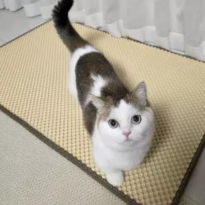 고양이 화장실매트 사막화방지 매트/모래/패드/화장실/용품/배변/발판/배변통/냥이/사막화/캣