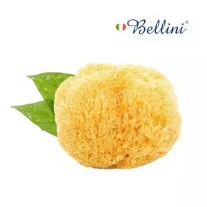 벨리니 천연해면스펀지 허니콤SA16 목욕타올 샤워볼 아기목욕