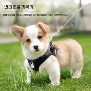 강아지 바디캠 고양이 바디 블랙박스 대리 액션캠 목줄