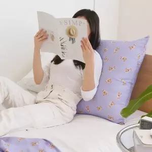 포홈 아이스래빗 인견 대형 등쿠션커버 65x65