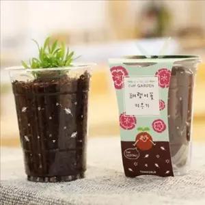 씨앗 패랭이 꽃 화분 심기 씨드볼 화분 세트