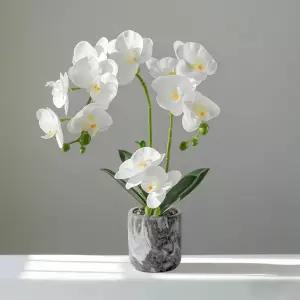 다이리슨 생화 같은 서양란 조화+ 대리석 화분 1set 예쁜 장식 난꽃 호접란 선물
