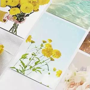 컬러 종이 사진 플라워 엽서 모음 로맨스