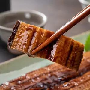 [오늘신선] 국내산 풍천장어 자포니카 민물장어 손질 600g내외 (소스2종 동봉)