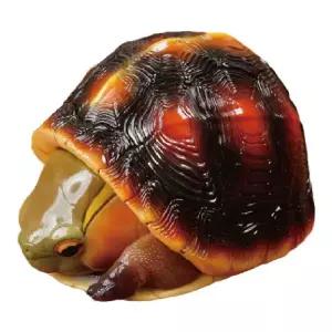 거북이 모형 코끼리거북 갈라파고스 미니어처 인형