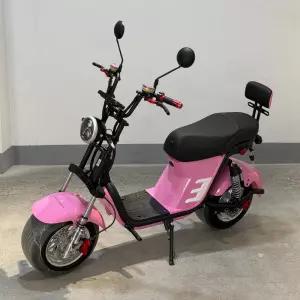 전동 스쿠터 할리 전기 자전거 속도 제한 출근 퇴근