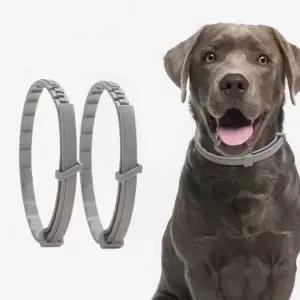 모기 진드기 방지 목걸이 강아지 고양이 해충 퇴치